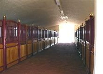Florida Stalls