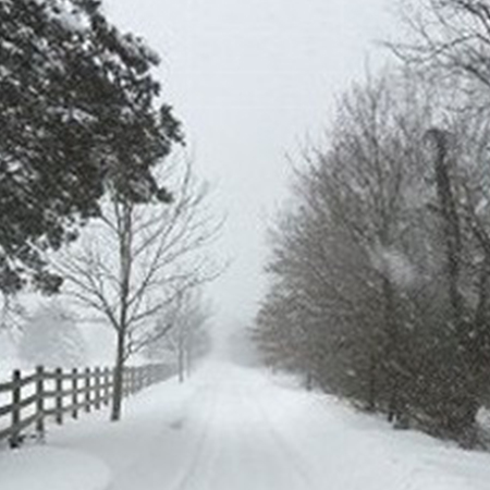 Driveway winter