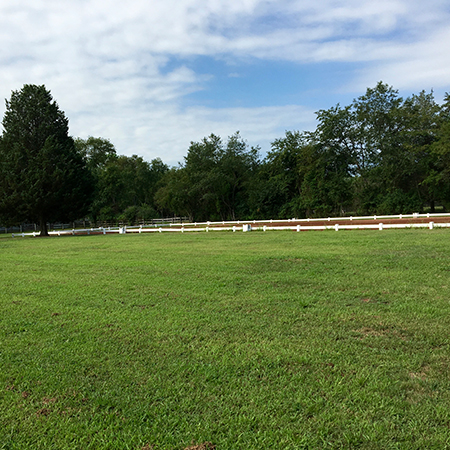 Grass and white riding ring