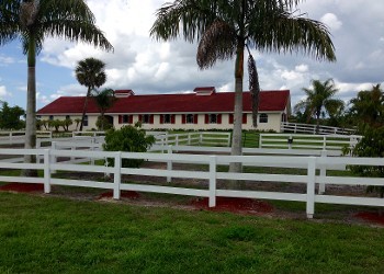 White Fences