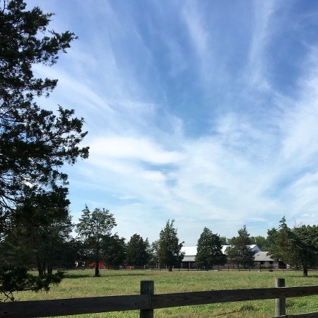 Stable From Afar