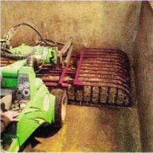 Purple Packer In Barn