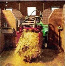 Purple Packer Scooping Hay